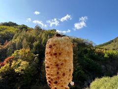 -天女山森林公园