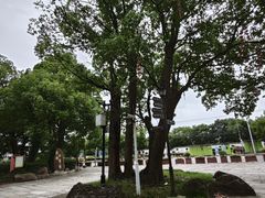 -韩湘水博园