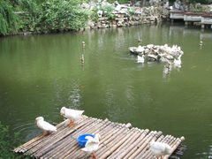 景观位-三好坞景观餐厅