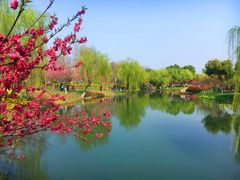 -圩墩遗址公园