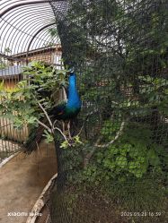 -三分地生态园·儿童乐园