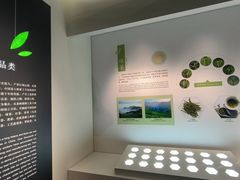 -中国茶叶博物馆(双峰馆区)
