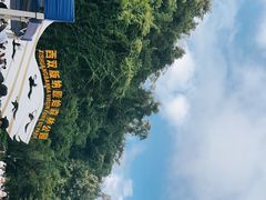 -西双版纳原始森林公园