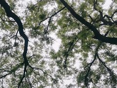 -簋街