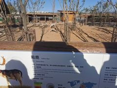 -太原动物园