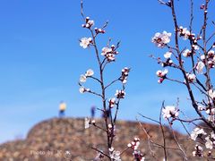 -妙峰山风景名胜区