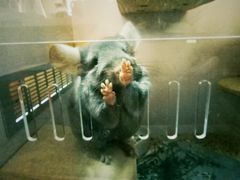 -龙猫仔乐园(惠福东路店)