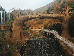 -梅岭月亮湾山体公园