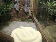 -上海大自然野生昆虫馆(东方明珠·爬宠昆虫探索中心)