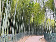 -树山生态村