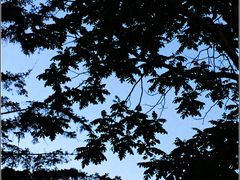 -哈尔滨师范大学(江南校区)