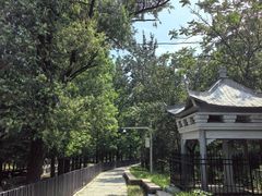 -白水寺森林公园