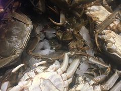 -加餐海鲜自助(集美银泰百货店)