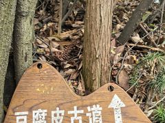 -午潮山国家森林公园