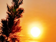 -八一南昌起义军三河坝战役烈士陵园