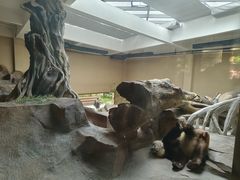 -宁波野生动物园
