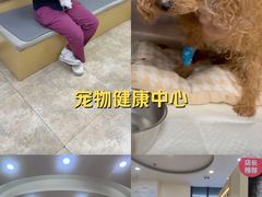 -美联众合动物医院·24h转诊中心