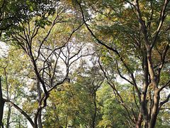 -苏堤停车场