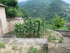 -延安杨家岭革命旧址