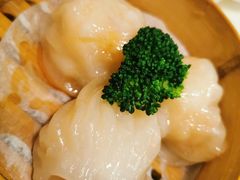 虾饺皇-禄興記香港大排档(歌斐中心店)