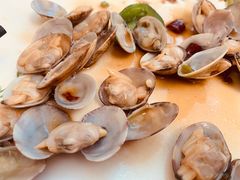 -宾朋海鲜饭庄(兴海路店)