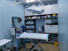 -瑞派·关忠动物医院·异宠专科·犬猫肿瘤·皮肤专科(望京店)