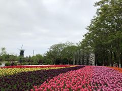 -上海鲜花港