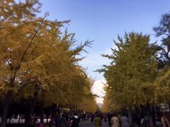 -辽宁大学(崇山校区)