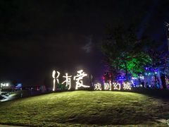 -荷兰花海