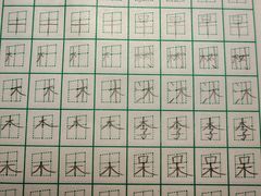 -赵汝飞练字硬笔书法(静安大融城校区)