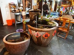-小小饭店·休闲农庄·安吉松树林里的农家菜
