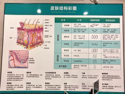 点击看大图 -痘院士专业祛痘皮肤管理