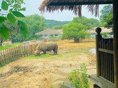 -沈阳森林动物园