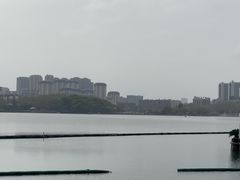 -李公堤
