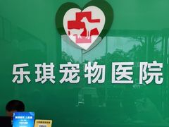 -乐琪宠物医院·犬猫专科·骨外科·急重症