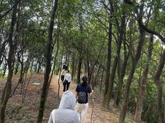 -白石龙音乐公园