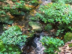 -海南热带雨林国家公园吊罗山景区