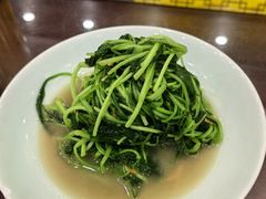 -富春茶社(国庆路店)
