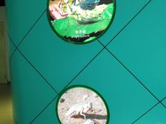 -上海昆虫博物馆