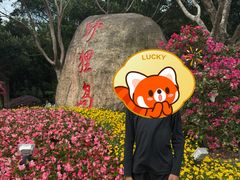 -野狸岛