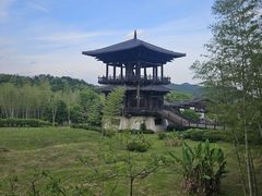 -大唐贡茶院