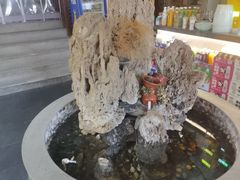 -都江堰石锅鱼