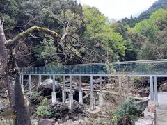 -花岩国家森林公园