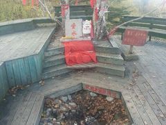 android_upload_pic-凤凰山国家森林公园