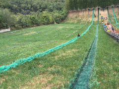 -原山国家森林公园