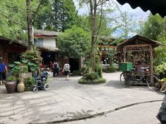 -青城甲(青城山店)