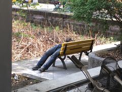 -四川大学(望江校区)