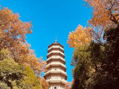 -灵谷景区