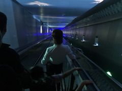 -白鹤梁水下博物馆