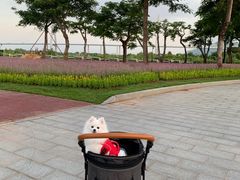 -芒洲湿地公园